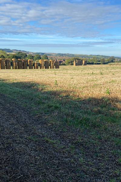 a field with hay bales in wintringham